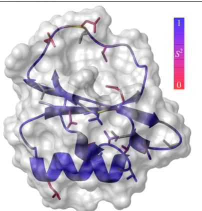 Figure 2: Structure of eglin c (from PDB file 1cse) (Bode et al.,  1987) displaying molecular surface and WT* order parameters