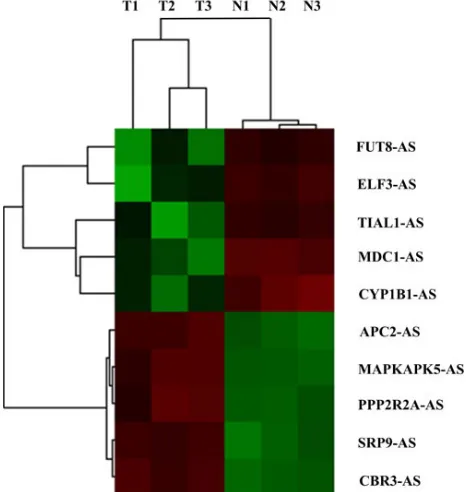 Figure 1: Hierarchical clustering analysis on the most 10 significantly dysregulated cancer-related antisense lncRNAs resulted from microarray assay