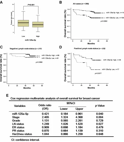 Figure 1: Low miR-125a-5p expression correlates with tumor size and poor survival in breast cancer patients