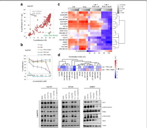 Fig. 2 Kinase inhibitor combination screening identifies compounds which synergise with EGFR-TKIs in TNBC.1lapatinib combined with 0.316, 1 or 3.16screen of lapatinib/PHA-767491 synergistic effect in a panel of 17 TNBC cell lines, under indicated combinati