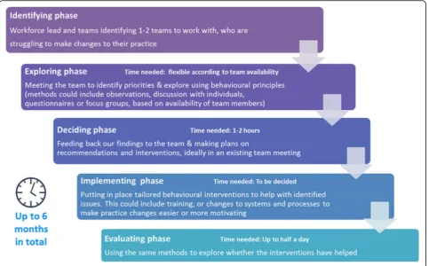 Fig. 2 Five stage process of the Teams Together Programme