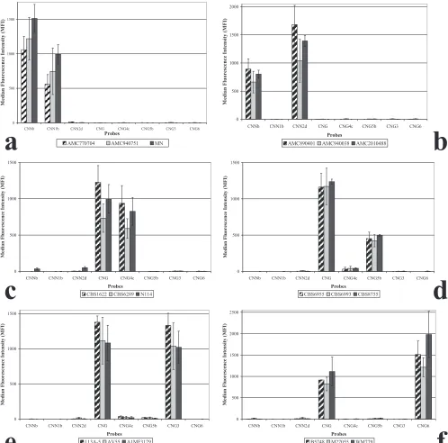 FIG. 1. Results obtained with the Luminex suspension array for all six haploid groups within C