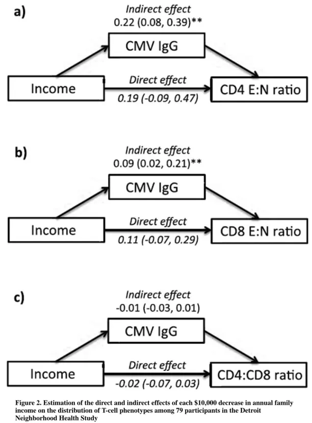 Figure 2. Estimation of the direct and indirect effects of each $10,000 decrease in annual family  income on the distribution of T-cell phenotypes among 79 participants in the Detroit 