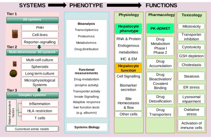 Figure 2. Roadmap for the development of ‘fit-for-purpose’ predictive models of human DILI   The proposed DILI Roadmap is a tier-based testing strategy incorporating present Test Systems and  future expectations of advanced models for DILI testing.TIER ONE
