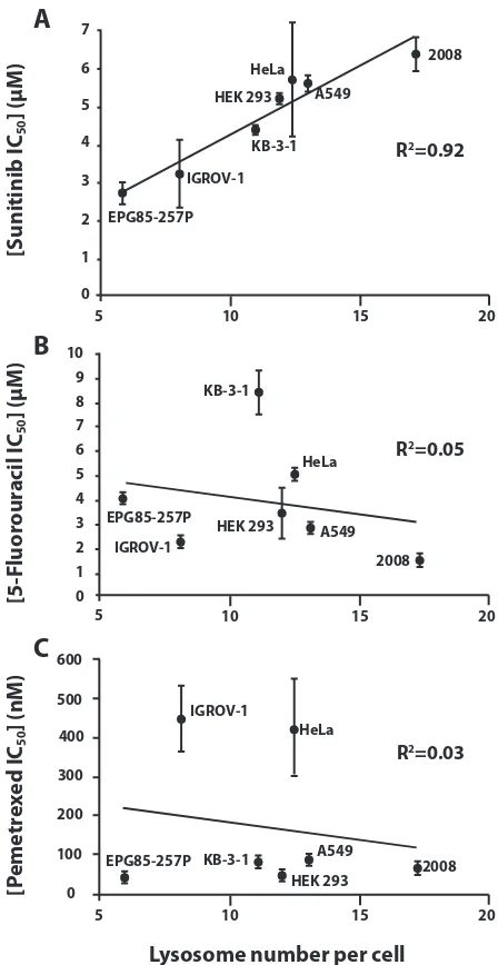Figure 2: The correlation between lysosome number and intrinsic resistance to the hydrophobic weak base tyrosine kinase inhibitor sunitinib, but not to the hydrophilic thymidylate synthase inhibitors 5-fluorouracil and pemetrexed