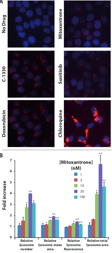 Figure 3: Hydrophobic weak base drugs induce lysosomal biogenesis in MCF-7 breast cancer cells
