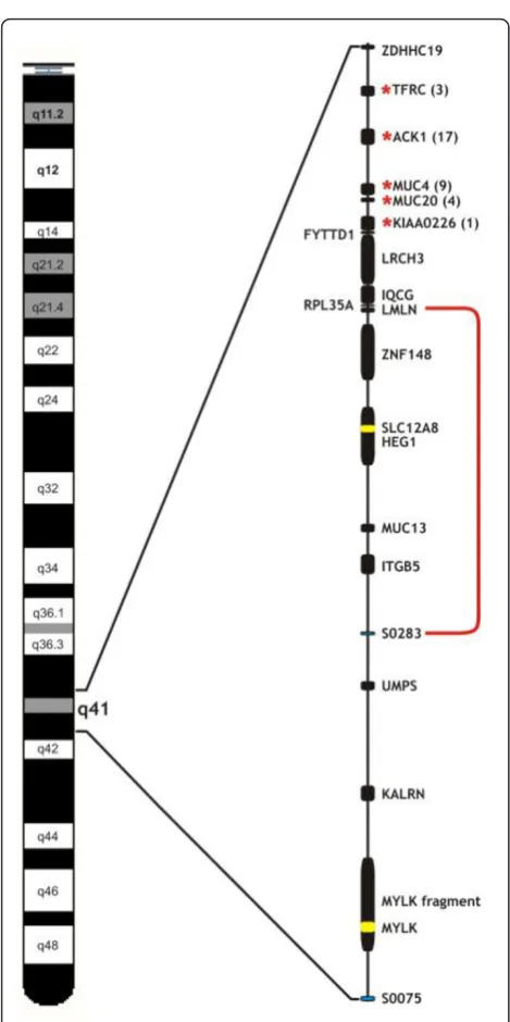Figure 2 Localisation of the F4ab/ac candidate region on SSC13.The gene annotations, order and approximate scale are deduced fromthe porcine map in Ensembl (Sscrofa9)