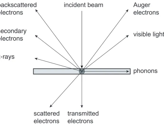 Figure 1.3 Schematic representation of the interactions of an incident electron beam with a specimen.