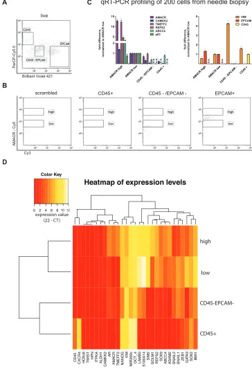 Figure 3: Cell type resolved analysis of human prostate cancer needle biopsy, (A) Gating strategy for CD45 positive lymphocytes, Epcam positive epithelial cells and CD45/Epcam double negative stromal cells; (B) AMACR-Cy5 signal detected in indicated subpop