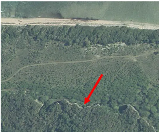 Figure 19.  Aerial photograph of the site area of El Burén, with the limestone cliffs  indicated.