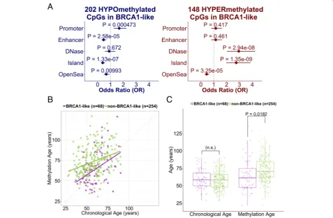 Fig. 4 Differential DNA methylation in groups with BRCA1-like tumors relative to groups with non-BRCA1-like tumors defined by the supportvector machine (SVM) BRCA1-like classifier among hormone-receptor-positive tumors in The Cancer Genome Atlas (TCGA)