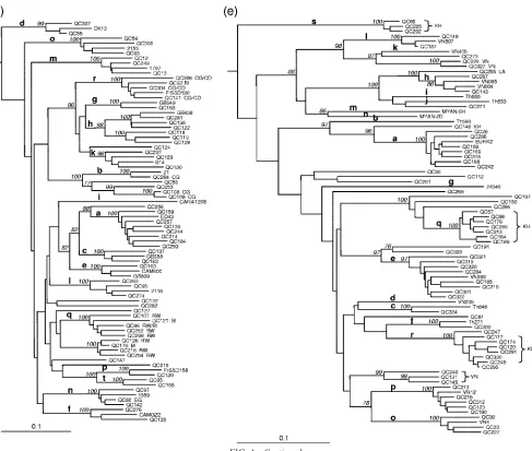 FIG. 1—Continued.