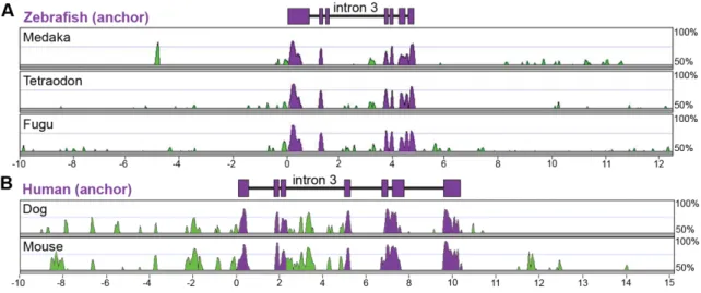 Figure 3.2: Multiple-species alignments reveal conservation in angptl4 gene structure and location of  conserved non-coding regions