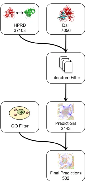Figure 2.2. Structural prediction workflow. Structural similarities from Dali and  known interactions between human proteins from HPRD are used to predict 