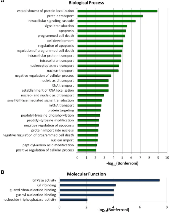 Figure 2.5. Significantly enriched Gene Ontology terms in the human-HIV-1  interaction network