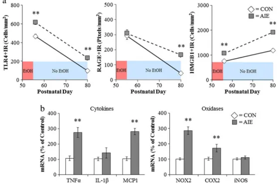 Fig. 6 Adolescent intermittent ethanol (AIE) treatment leads to a persistent induction of neuroimmune genes in the adult brain