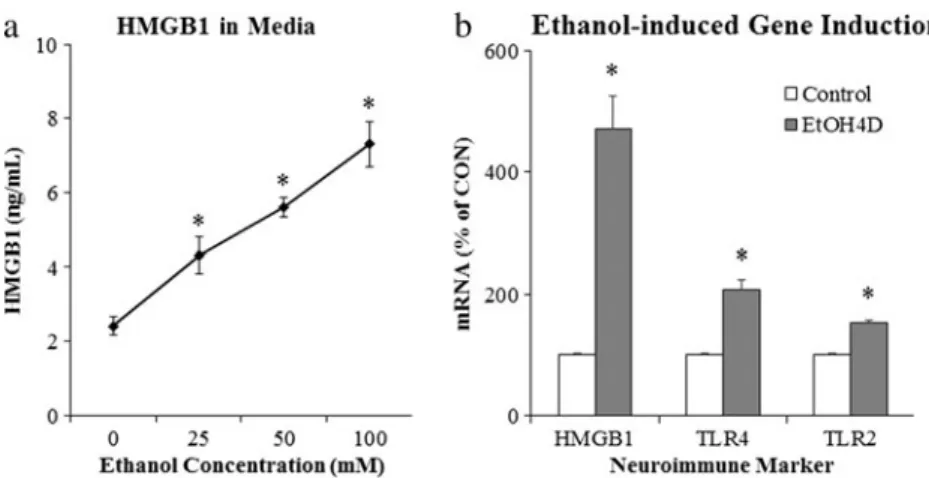 Fig. 5 Ethanol releases high-mobility group box 1 (HMGB1) leading to activation of neuroimmune signaling