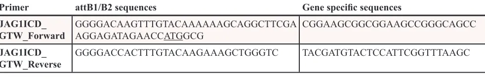 Table 2: Gateway primers used for designing attB PCR gene products. Underlined sequence (ATG) denotes start codon.