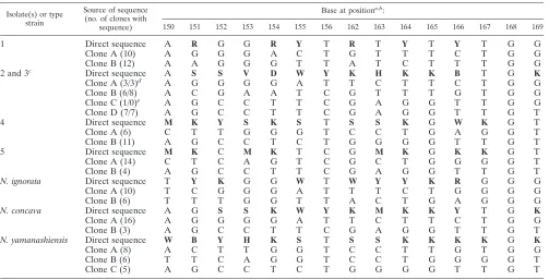 TABLE 1. Direct sequences of the variable region of the 16S rRNA genes, and sequences of the variable region of clonesof patient isolates and the type strains of N