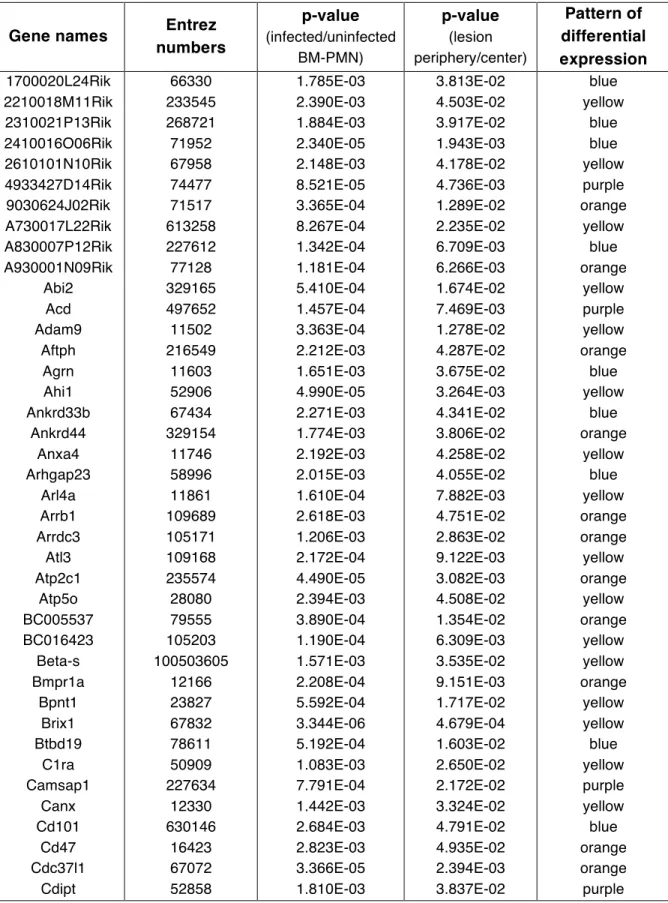 Table 2.1: List of 224 differentially regulated in both the infected versus  uninfected BM-PMN and lesion periphery versus center comparisons 