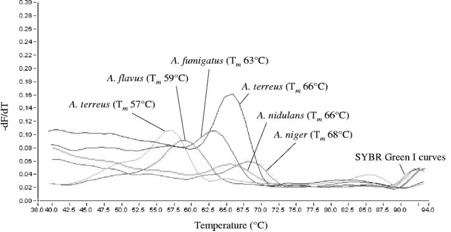 FIG. 2. ClustalW multiple-sequence alignment of the ITS2 region ampliﬁed with primers Cand-F and ITS-R from C