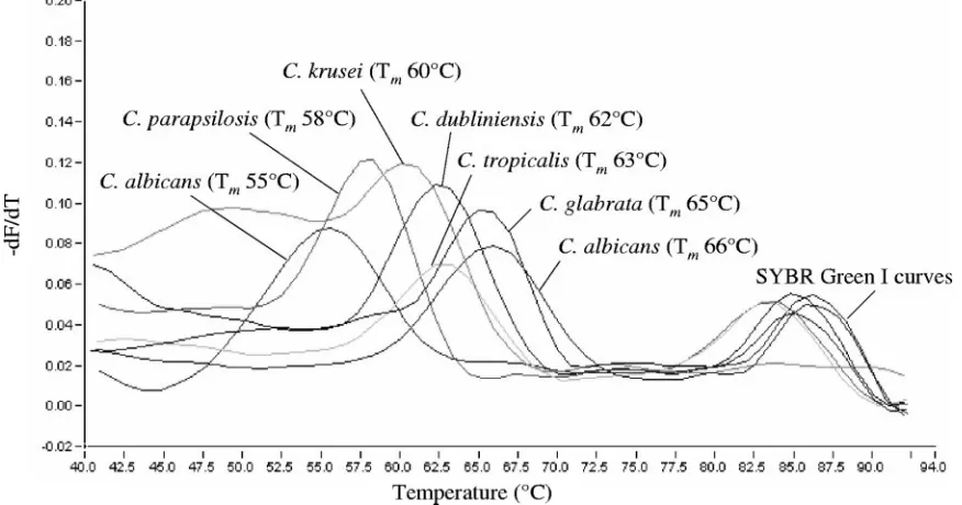 TABLE 2. Results of BLAST analyses of the Aspergillus and Candida species-speciﬁc biprobes