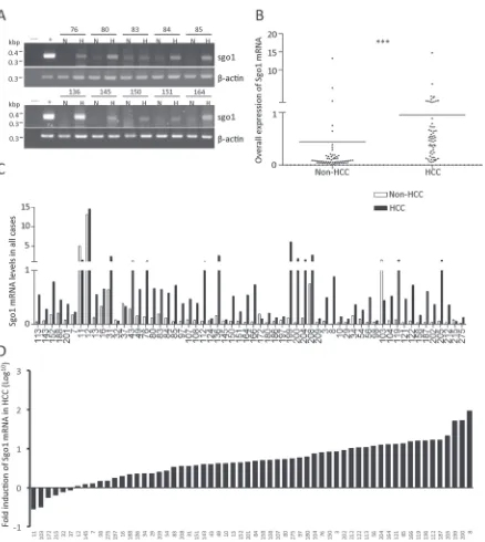 Figure 2: Messenger RNA expression profile of Sgo1 in HCC and adjacent non-HCC tissues