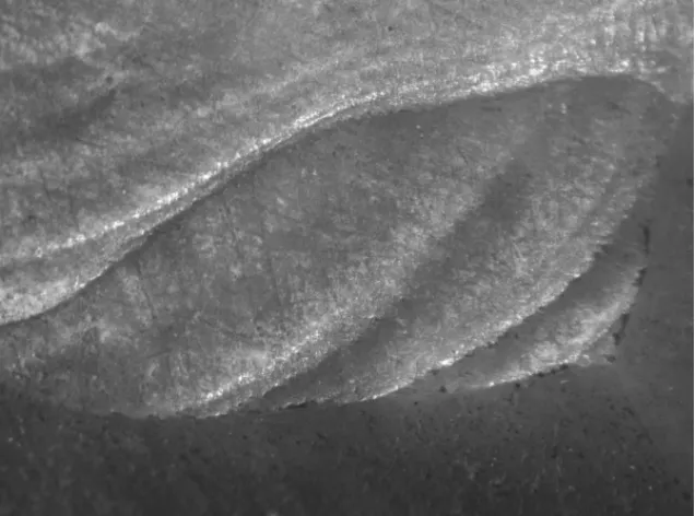 Fig. 3. Cross-hatched scratching seen on a flint tool from megalith G2 (taken with  a  stereomicroscope,  10x  magnification)  (Photo  Laboratory  for  Artefact  Studies,  Leiden University)