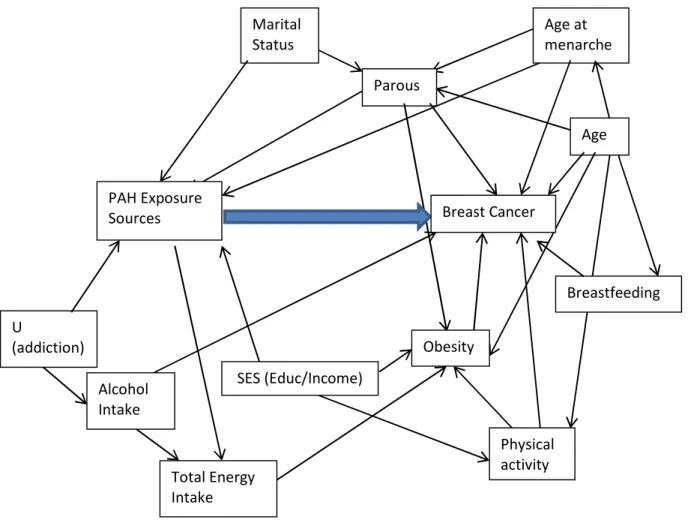 Figure 2.1. Directed acyclic graph (DAG) to evaluate confounding for the association  between PAH exposure and breast cancer risk