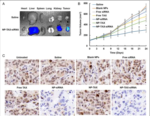 Fig. 7 Biodistribution and antitumor activity of nanoparticle-paclitaxel–small interfering RNA (NP-TAX–siRNA)