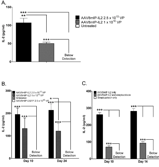 Figure 3.1 β cell specificity of IL-2 transgene expression after AAV8mIP-IL2  vaccination.(A) IL-2 levels in supernatants from islets isolated from NOD.scid mice  vaccinated with AAV8mIP-IL2 2.5 x 10 10  VP, AAV8mIP-IL2 1 x 10 10  VP, or left untreated  an