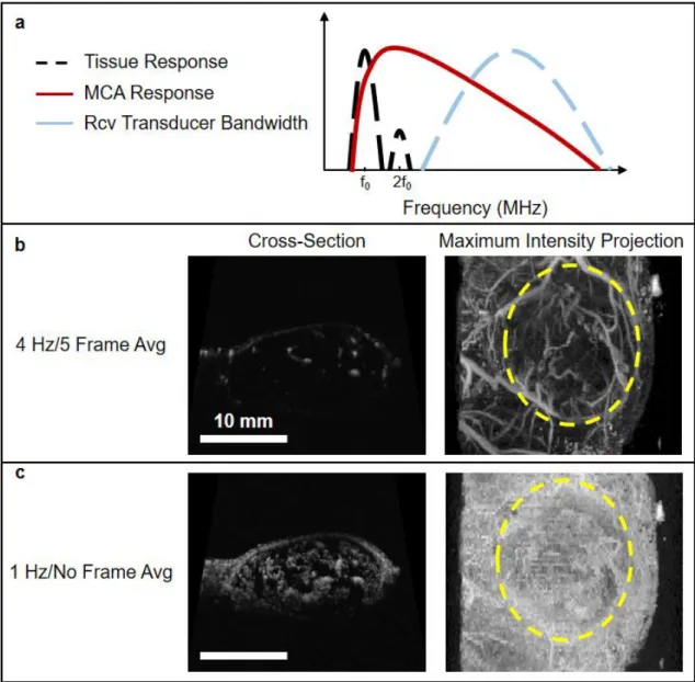 Figure  1.7.  Overview  of  Acoustic  Angiography.  In  (a),  a  transmit  pulse  with  a  frequency  of  f 0   will  produce a tissue response (black dashed line) around f 0  and with some content at 2f 0 , but MCAs (red  line) will have a response that e