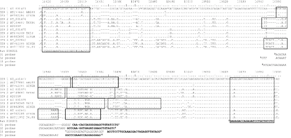 FIG. 1. Alignment of the 3�serotype is represented by a Singaporean and two foreign isolates