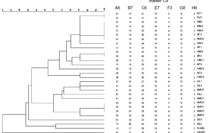 FIG. 1. Dendrogram based on proﬁles of seven markers for all PCR ribotype 027 isolates (n � 29) tested in this study