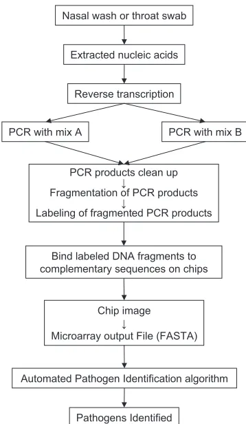 TABLE 2. Differentiation by RPM v.1 of various HAdVs causingfebrile respiratory infections