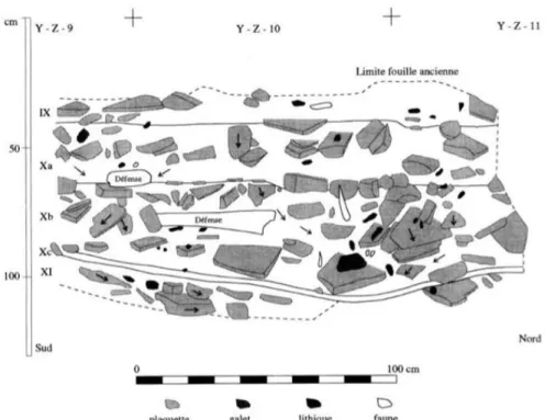 Figure 3. The stratigraphic levels of the Grotte du Renne. Blocks of limestone are shown in gray,  key Châtelperronian artefacts in black and the mammoth tusks in white (David et al
