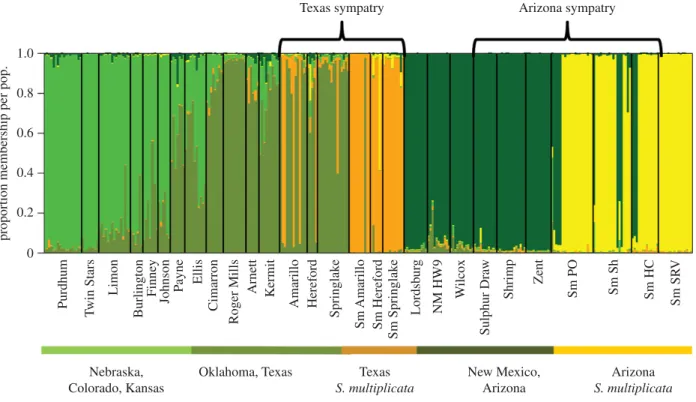Figure 2. Structure plot showing that K (number of distinct populations) ¼ 5 for S. bombifrons and S