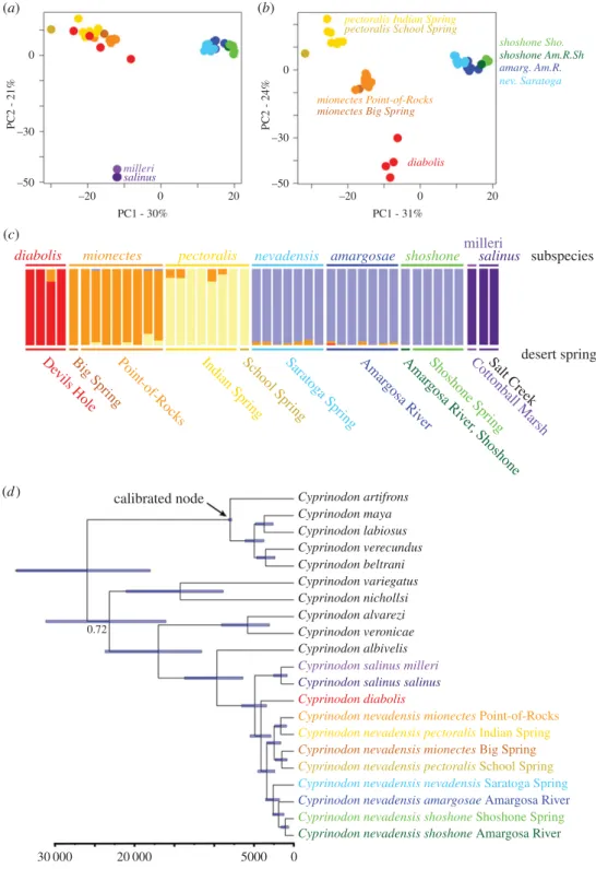 Figure 2. Genetic structure (a – c) and time-calibrated phylogenetic tree (d ) for Death Valley pupfish populations