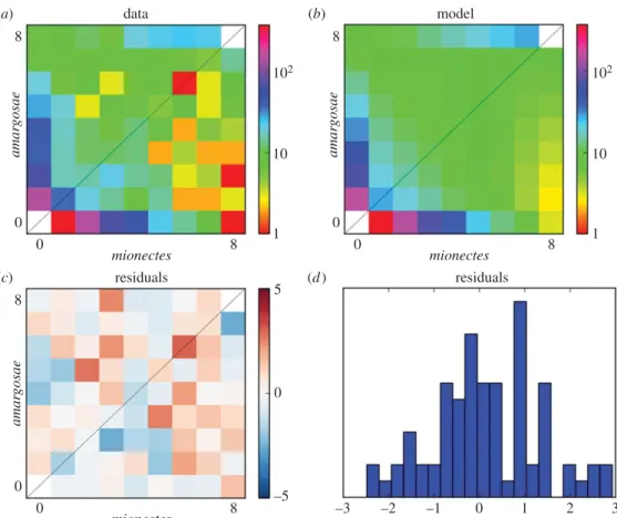 Figure 3. Demographic model of amargosae/shoshone/nevadensis and mionectes divergence time inferred from allele frequency data using dadi