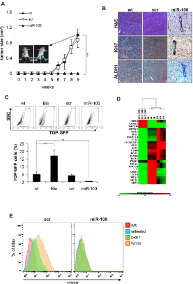 Figure 4: MiR-100 affects tumor-initiating ability and inhibits Wnt/β-catenin signaling pathway in BrCSCs