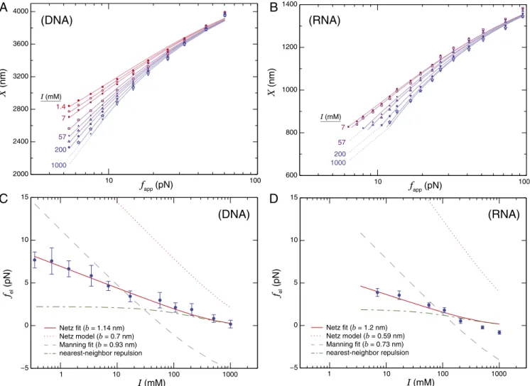 Fig. 2. (A and B) Force-extension curves of a representative (A) ssDNA molecule over I = 1.4–1,000 mM and (B) ssRNA molecule over I = 7–1,000 mM