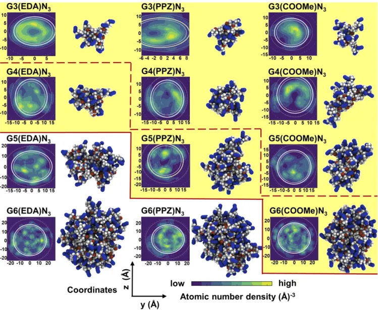 Fig. 7. Two-dimensional slices of the 3D average atom number densities (in atoms per cubic angstrom) of the terminal N 3 groups, and molecular renders for Gn(EDA)N 3 (n = 3–6), Gn(PPZ)N 3 (n = 3–6) dendrimers, and Gn(COOMe)N 3 (n = 3–6) dendrons