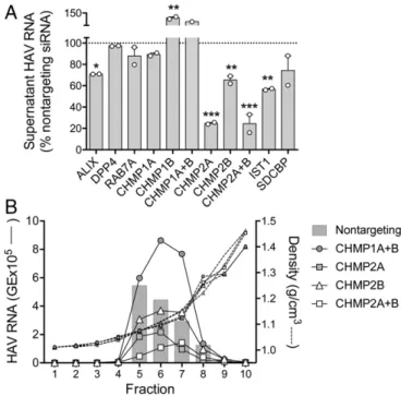 Fig. 5. RNAi analysis of potential DPP4-, RAB7A-, and ESCRT-III –associated host protein function in eHAV biogenesis