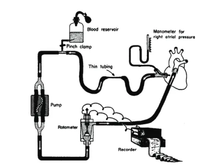 Figure 1.9 Experimental model for controlling right atrial pressure and venous return