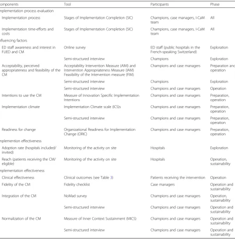 Table 2 Summary of the Implementation Measures by Phase