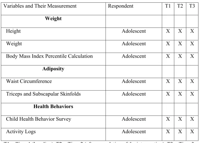 Table 2. Summary of Measures  