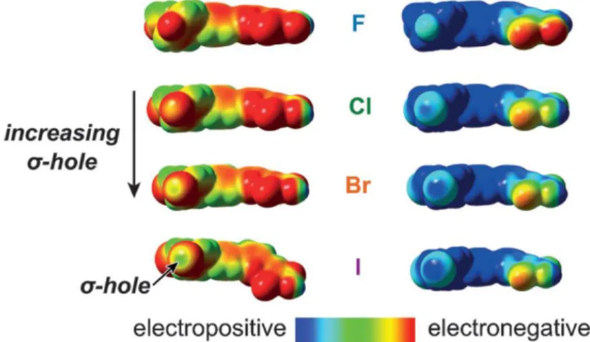 Figure 2.1. DFT models of the A) neutral and B) oxidized forms of Dye-X show the existence  of a s-hole on the pole of the halogen atoms opposite the covalently bound atom for X = Cl,  Br, and I