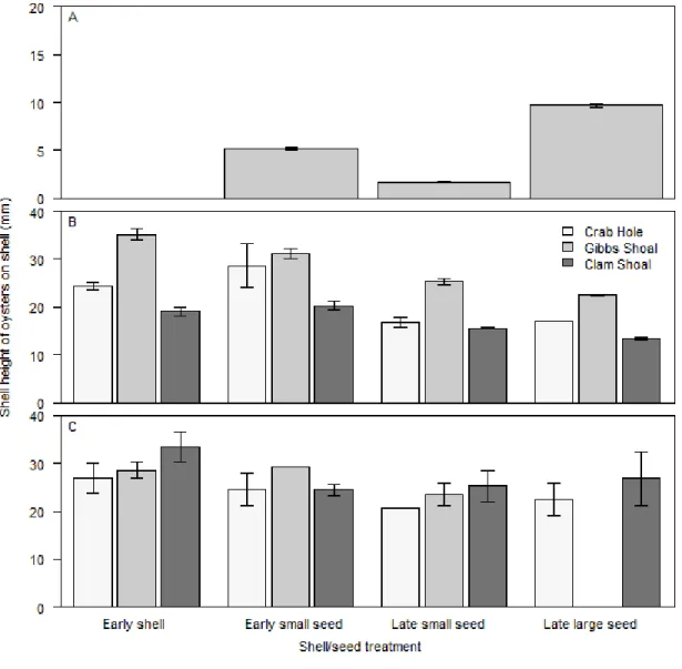 Fig. 2.4. Size of oysters (mean±SE) per shell before shells were deployed  during the  summer of 2010 (A), after deployment in the fall Oct