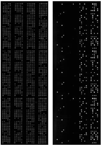 FIG. 6. PHAT in an LOS microarray format.