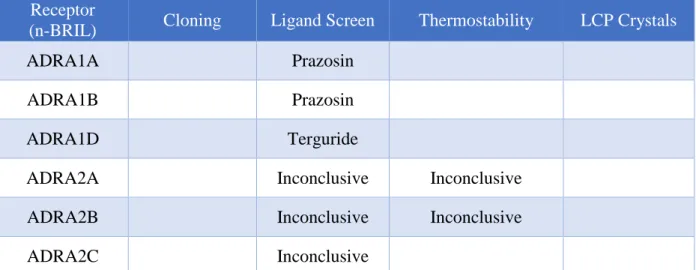 Table 2. Current progress of N-terminal BRIL ADRA constructs in the crystallization workflow.